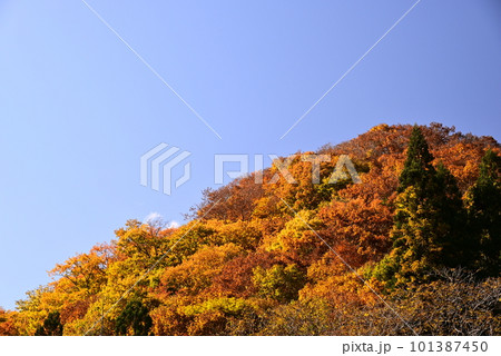 紅葉した山 101387450