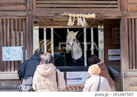 多度大社 神馬舎 多度大社 神馬舎 101387507