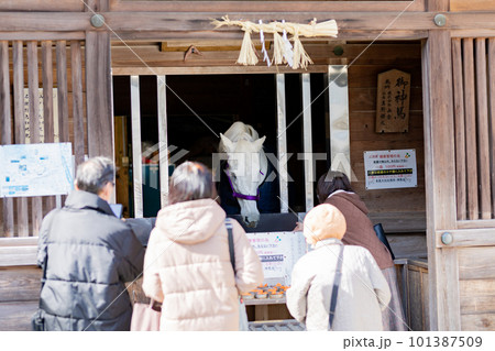 多度大社 神馬舎 多度大社 神馬舎 101387509
