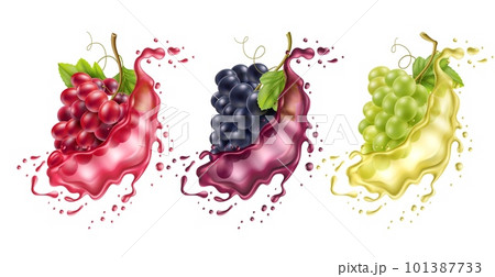 Realistic grape splash. Wine berries different varieties in flying color liquids, vines in juice, dessert alcoholic drink. Colorful water drops, 3d isolated elements utter vector set 101387733