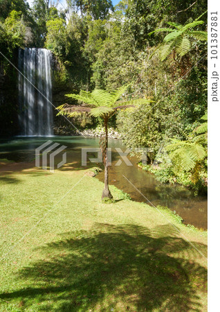 アサートン高原のミラミラ滝の風景 101387881