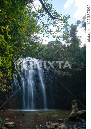 アサートン高原のゆるやかに落ちるエリンジャーフォールズ 101387890