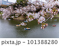 桜の下を泳ぐボート 101388280