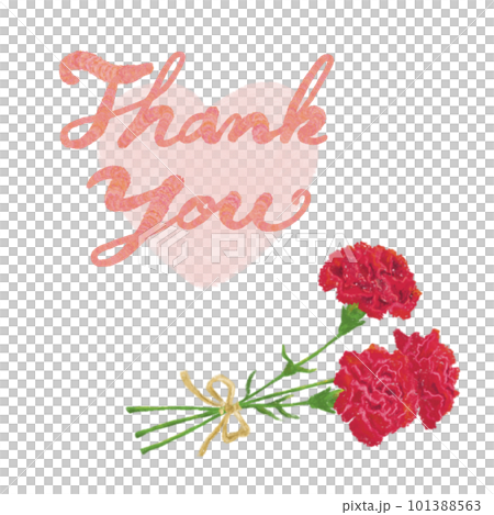 母親節紅色康乃馨花束插圖和草書謝謝你在心形背景上寫字 101388563