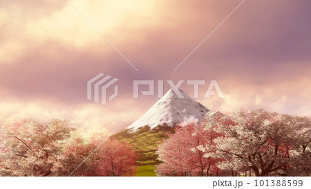 Mt Fuji and sakura cherry blossoms sunset sky Mt Fuji and sakura cherry blossoms sunset sky 101388599