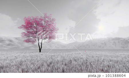 Pink sakura tree on black and white background 3D Pink sakura tree on black and white background 3D 101388604