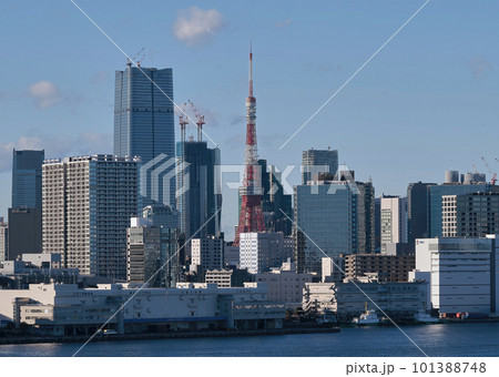 レインボーブリッジから見た東京タワー レインボーブリッジから見た東京タワー 101388748