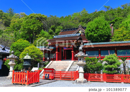 【和歌山県】晴天の紀州東照宮唐門 【和歌山県】晴天の紀州東照宮唐門 101389077