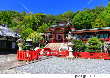 【和歌山県】晴天の紀州東照宮唐門 101389079