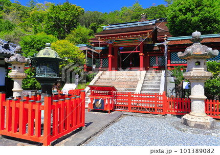 【和歌山県】晴天の紀州東照宮唐門 101389082