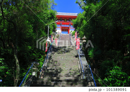【和歌山県】晴天の紀州東照宮(侍坂と楼門) 【和歌山県】晴天の紀州東照宮(侍坂と楼門) 101389091