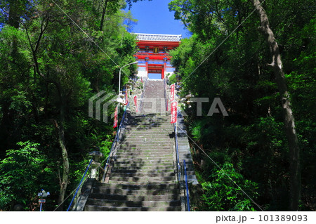 【和歌山県】晴天の紀州東照宮(侍坂と楼門) 【和歌山県】晴天の紀州東照宮(侍坂と楼門) 101389093