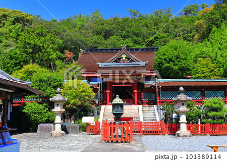 【和歌山県】晴天の紀州東照宮唐門 【和歌山県】晴天の紀州東照宮唐門 101389114