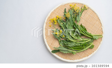 ザルに乗せた菜の花 ザルに乗せた菜の花 101389594