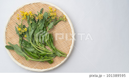 ザルに乗せた菜の花 ザルに乗せた菜の花 101389595