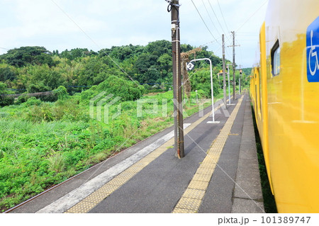 JR九州、指宿枕崎線の鹿児島中央駅から指宿駅間の風景(2022年夏) 101389747