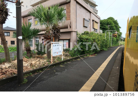 JR九州、指宿枕崎線の鹿児島中央駅から指宿駅間の風景(2022年夏) 101389756