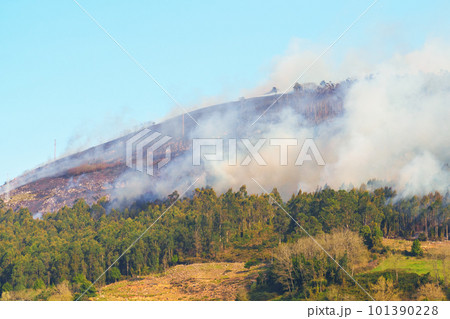 Wildfire, brushfire in woodland on a montaine hill. Spain forest fire in daytime. Natural disaster in Europe 101390228