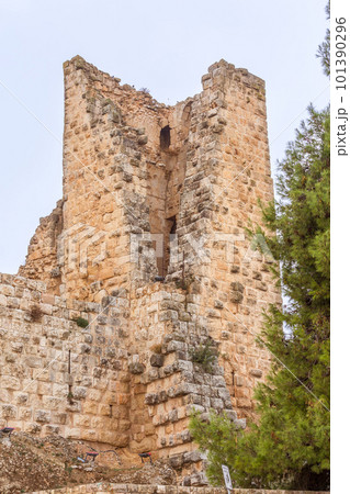 Ajloun Castle built by the Ayyubids, Jordan 101390296