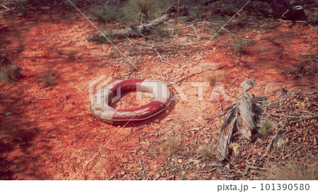 life ring buoy in desert beach life ring buoy in desert beach 101390580