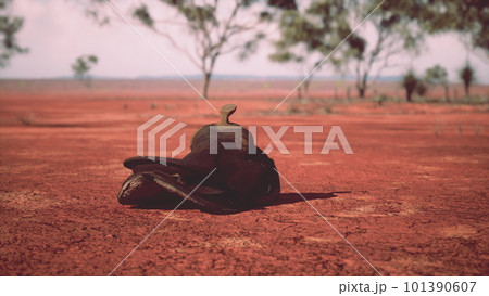 Old decorated mexican saddle lying on sand Old decorated mexican saddle lying on sand 101390607