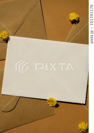 Beautiful little yellow chamomile daisies flowers on postal yellow envelopes on beige background, empty paper note copy space for text, spring time, greeting card for holiday. Flower delivery Beautiful little yellow chamomile daisies flowers on postal yellow envelopes on beige background, empty paper note copy space for text, spring time, greeting card for holiday. Flower delivery 101391176