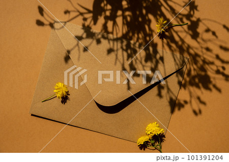 Beautiful little yellow chamomile daisies flowers on postal yellow envelope on beige background, empty paper note copy space for text, spring time, greeting card for holiday. Flower delivery 101391204