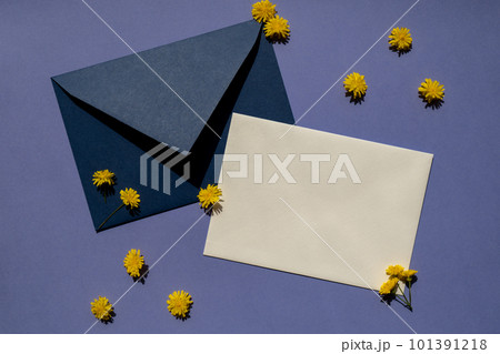 Beautiful little yellow chamomile daisies flowers on postal blue envelope on violet background, empty paper note copy space for text, spring time, greeting card for holiday. Minimalism concept Vivid 101391218