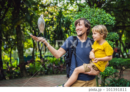 Father and son feeding ibes in the park. Little Egret Cattle egret Bubulcus ibis Waters Edge. Family spends time in the park together Father and son feeding ibes in the park. Little Egret Cattle egret Bubulcus ibis Waters Edge. Family spends time in the park together 101391811