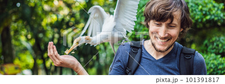 Young man feeding ibes in the park. Little Egret Cattle egret Bubulcus ibis Waters Edge BANNER, LONG FORMAT Young man feeding ibes in the park. Little Egret Cattle egret Bubulcus ibis Waters Edge BANNER, LONG FORMAT 101391817