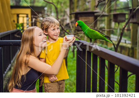 Mom and son feed the parrot in the park. Spending time with kids concept 101392421