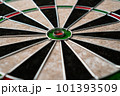 The new classic professional sisal dart target. Close-up, angle view. 101393509