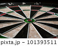 The new classic professional sisal dart target. Close-up, angle view. 101393511