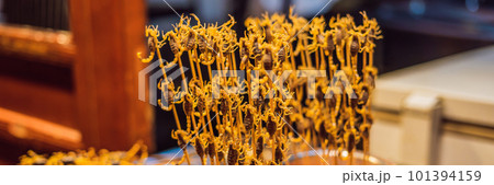 Fried scorpions in Wangfujing night market of Beijing, China BANNER, LONG FORMAT Fried scorpions in Wangfujing night market of Beijing, China BANNER, LONG FORMAT 101394159