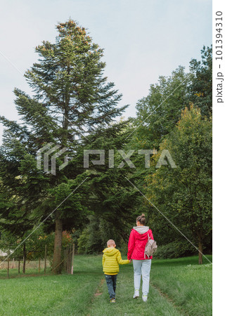 Beautiful family -Mom with small son on a walk in autumn sunny nature. Happy couple holding hands. Back view. Young mother with her little baby boy having fun in the autumn park Beautiful family -Mom with small son on a walk in autumn sunny nature. Happy couple holding hands. Back view. Young mother with her little baby boy having fun in the autumn park 101394310