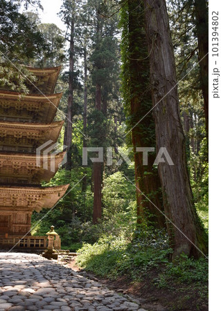 羽黒山の杉並木 101394802