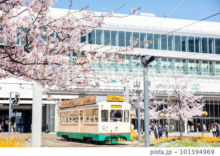 【富山地方鉄道】桜咲く富山駅前風景 101394969