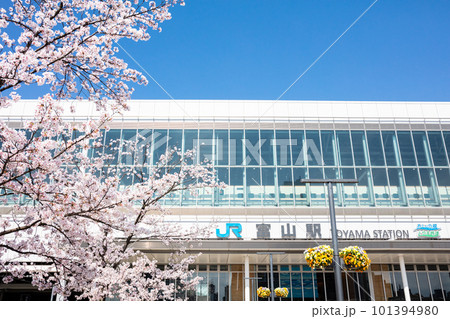 【富山地方鉄道】桜咲く富山駅 101394980
