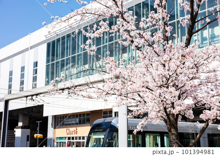 【富山地方鉄道】桜咲く富山駅前風景 【富山地方鉄道】桜咲く富山駅前風景 101394981