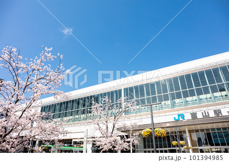 【富山地方鉄道】桜咲く富山駅前風景 【富山地方鉄道】桜咲く富山駅前風景 101394985