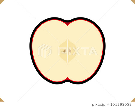 リンゴの断面_食べ物イラスト素材画線あり リンゴの断面_食べ物イラスト素材画線あり 101395055