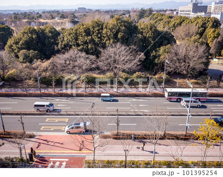 【日本】東京、立川のビル屋上から望む幹線道路を行き交う車と森林公園 【日本】東京、立川のビル屋上から望む幹線道路を行き交う車と森林公園 101395254