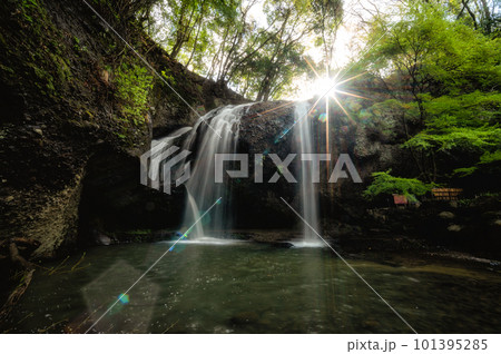 茨城県大子町　新緑の月待の滝 101395285