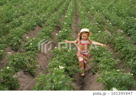 A funny laughing barefoot girl in a hat walks with her arms outstretched between rows of growing potatoes. Farmland with flowering plants A funny laughing barefoot girl in a hat walks with her arms outstretched between rows of growing potatoes. Farmland with flowering plants 101395947