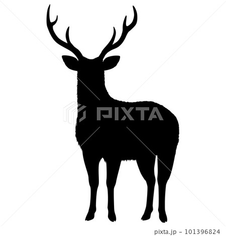 エゾシカの雄 101396824