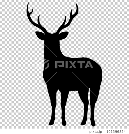エゾシカの雄 101396824