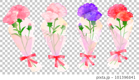 康乃馨花束水彩風格的手繪插圖 101396841