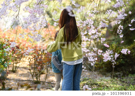 美しい桜を見上げる女性 101396931