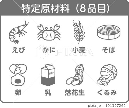 8大アレルゲン 食物アレルギー アレルギー アレルギー表示 8品 8大アレルゲン 食物アレルギー アレルギー アレルギー表示 8品 101397262