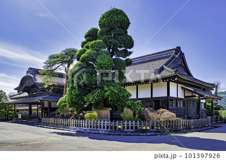 埼玉県　川越市　川越城跡　川越本丸御殿 101397926